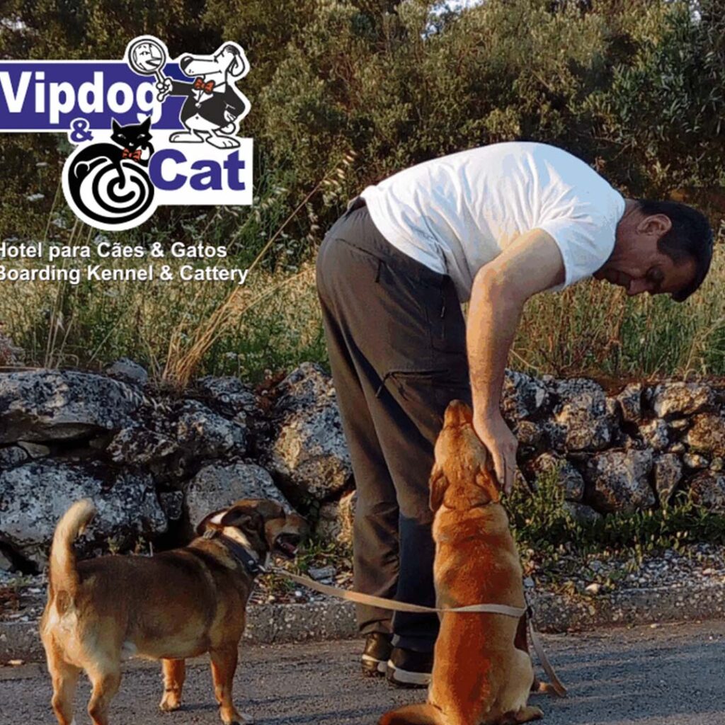 VIPDOG_FOTO4