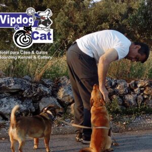 VIPDOG_FOTO4