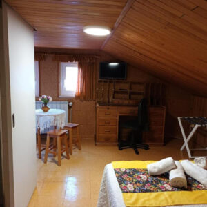 floresta_foto1