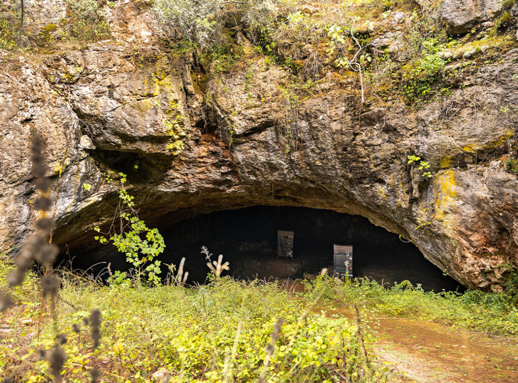 foto1_grutadeavecasta