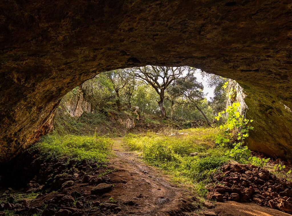 foto2_grutadeavecasta