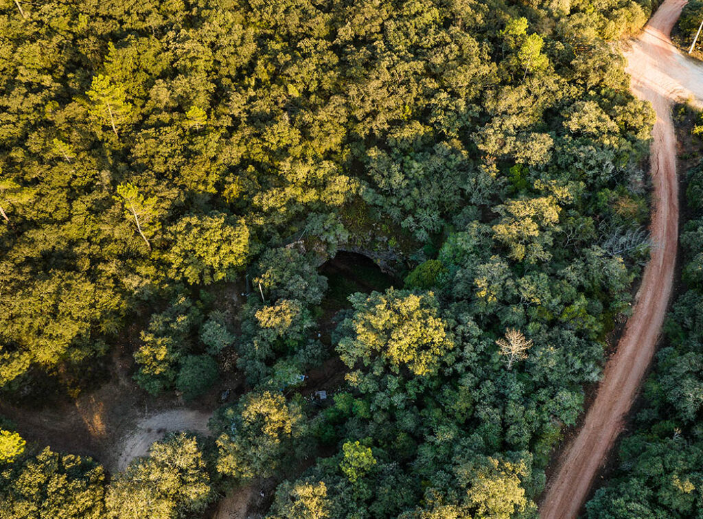 foto5_grutadeavecasta