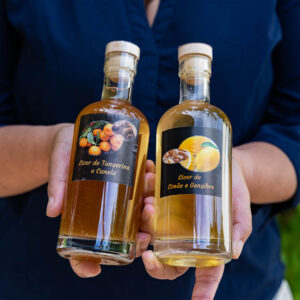 quinta dos templarios_3