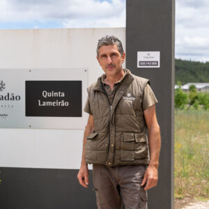 valgadao_5